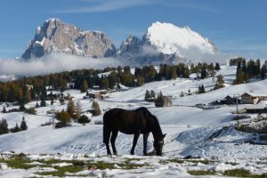 Skiverleih Seiser Alm